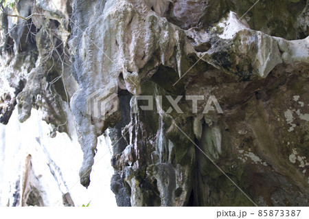 Details and forms of rocks on Railay peninsula, Thailand 85873387
