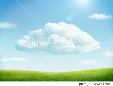 3d suuny grass field background 85873706