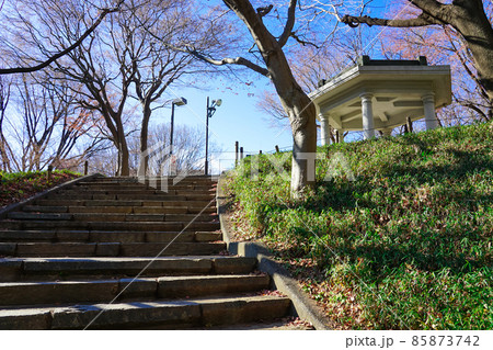 旧淀橋浄水場六角堂 新宿区立新宿中央公園(東京都新宿区) 旧淀橋浄水場六角堂 新宿区立新宿中央公園(東京都新宿区) 85873742