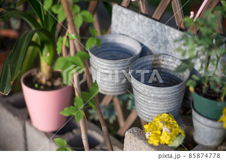 庭の風景	 85874778