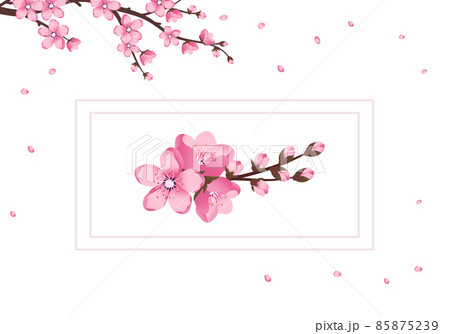 Cute Sakura flowers icon set. The cherry branches have bloomed. Spring pink blooming composition with buds and leaves. Festive decorations for wedding, holiday, postcard, poster. Vector illustration 85875239