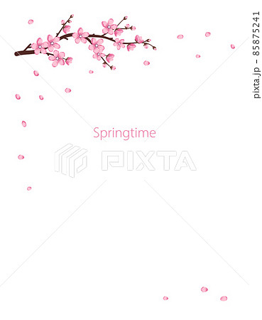 Cute Sakura flowers icon set. The cherry branches have bloomed. Spring pink blooming composition with buds and leaves. Festive decorations for wedding, holiday, postcard, poster. Vector illustration 85875241