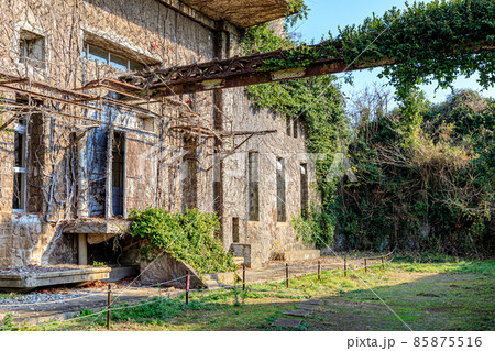 冬の針尾送信所 長崎県佐世保市 冬の針尾送信所 長崎県佐世保市 85875516