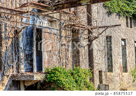 冬の針尾送信所 長崎県佐世保市 冬の針尾送信所 長崎県佐世保市 85875517