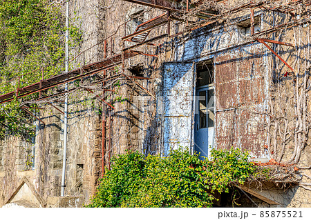 冬の針尾送信所 長崎県佐世保市 冬の針尾送信所 長崎県佐世保市 85875521