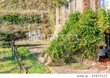 冬の針尾送信所　長崎県佐世保市 85875523