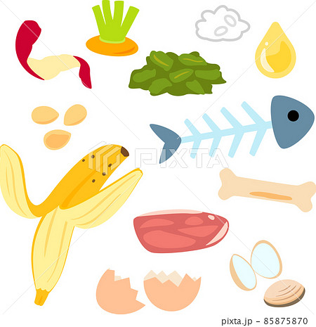 生ごみのイラストセット 85875870