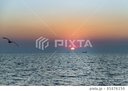 Seagulls flying over the sea on the background of beautiful sunset. Seagulls flying over the sea on the background of beautiful sunset. 85876150