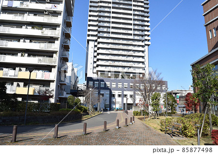 埼玉県草加市 獨協大学前駅西口(コンフォール松原)の街並み 埼玉県草加市 獨協大学前駅西口(コンフォール松原)の街並み 85877498