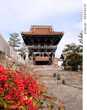 冬の養国寺　（東広島市高屋町白市） 85878145