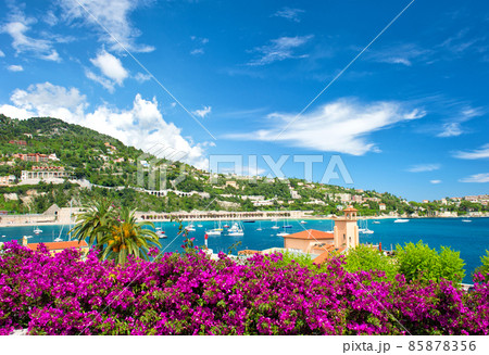 Mediterranean landscape sea sky rhododendron flowers French reviera Mediterranean landscape sea sky rhododendron flowers French reviera 85878356