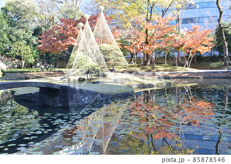 小石川後楽園の雪吊りと庭園（東京都文京区） 85878546