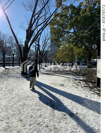 代々木公園 ケヤキ並木 雪景色 (2022年1月7日) 代々木公園 ケヤキ並木 雪景色 (2022年1月7日) 85878572