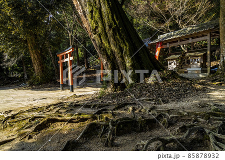 冬の白髭神社 85878932