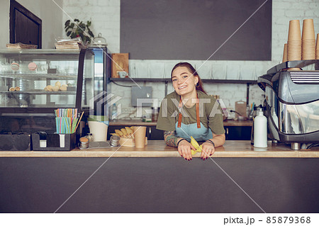 Joyful female barista standing behind counter in cafe Joyful female barista standing behind counter in cafe 85879368