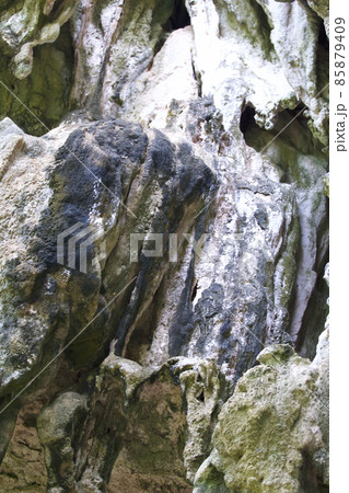 Details and forms of rocks on Railay peninsula, Thailand Details and forms of rocks on Railay peninsula, Thailand 85879409