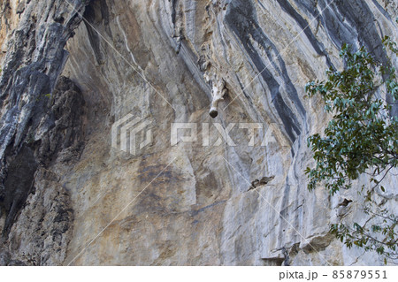 Details and forms of rocks on Railay peninsula, Thailand 85879551