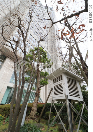 百葉箱　気象観測 85880419