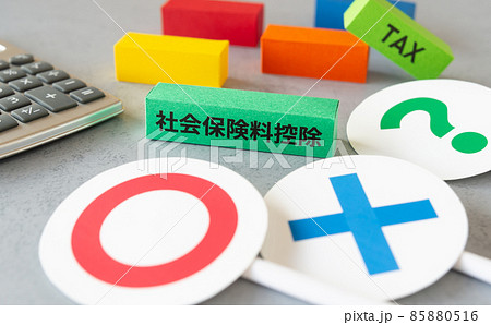 社会保険料控除と○×?　税金　控除　確定申告　年末調整　制度 85880516
