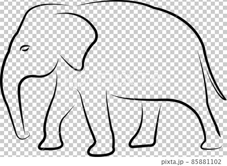 elephant line art - vector artwork elephant line art - vector artwork 85881102
