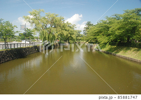 鶴ケ岡城の水堀(山形県鶴岡市馬場町) 鶴ケ岡城の水堀(山形県鶴岡市馬場町) 85881747