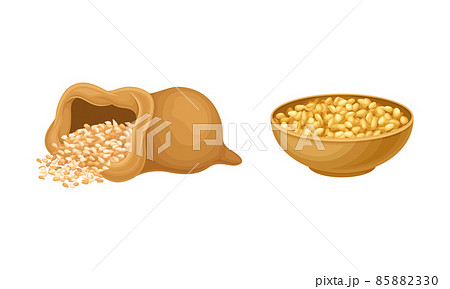 Cereal grains set. Wooden bowl and sack of wheat, barley or rye grains vector illustration 85882330