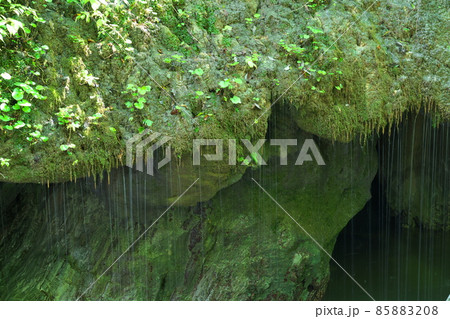 神庭の滝への遊歩道脇で雫が流れ落ちる玉垂の滝5 岡山県真庭市 神庭の滝への遊歩道脇で雫が流れ落ちる玉垂の滝5 岡山県真庭市 85883208