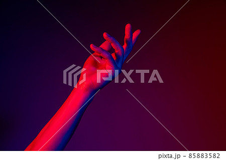Studio shot of aethentic human hands isolated on purple studio background in neon light. Concept of human relation, community, togetherness Studio shot of aethentic human hands isolated on purple studio background in neon light. Concept of human relation, community, togetherness 85883582