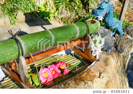 鎌倉 葛原岡神社の花手水 鎌倉 葛原岡神社の花手水 85883831