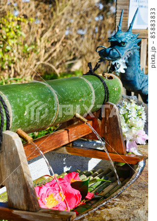 鎌倉 葛原岡神社の花手水 鎌倉 葛原岡神社の花手水 85883833