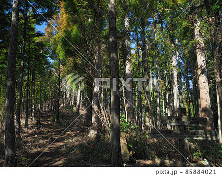 群馬県 父不見山 85884021