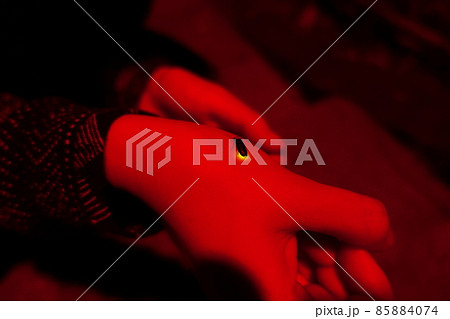 台湾 蛍 ホタル 85884074