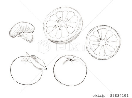 甘夏の手描きラフな線画イラスト 85884191