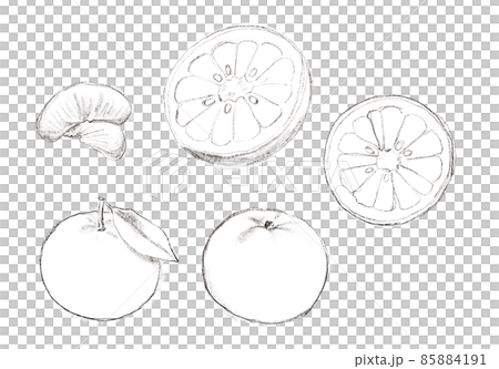 甘夏の手描きラフな線画イラスト 85884191