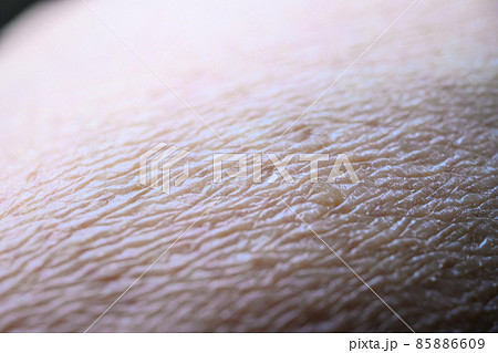 Image photo 85886609