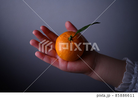 Image photo 85886611
