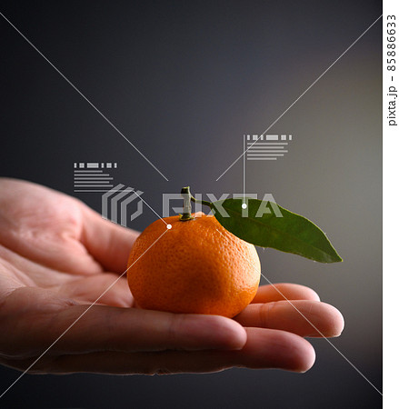 Image photo 85886633