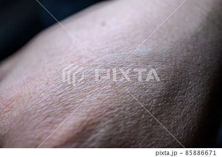 Image photo Image photo 85886671