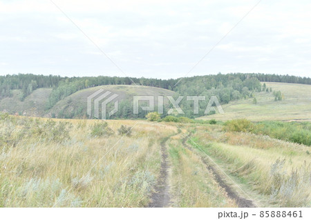 River and mountain with trees in the steppe field River and mountain with trees in the steppe field 85888461