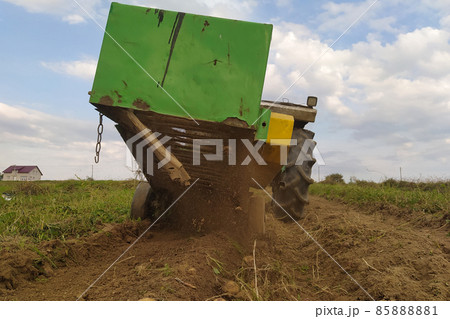 A tractor plows a row of potatoes, harvesting yellow potatoes in the village in the field. 85888881