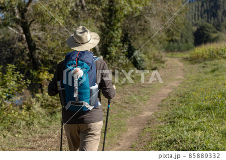View from behind of a pilgrim walking on his way to Santiago de Compostela on a rural way. Way of saint james, Camino de Santiago View from behind of a pilgrim walking on his way to Santiago de Compostela on a rural way. Way of saint james, Camino de Santiago 85889332
