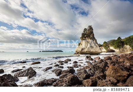 New Zealand coast New Zealand coast 85889471