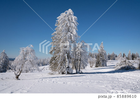 Kahler Asten, Sauerland, Germany Kahler Asten, Sauerland, Germany 85889610
