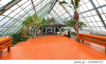 函館市熱帯植物園3 85890325
