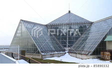 函館市熱帯植物園10 函館市熱帯植物園10 85890332