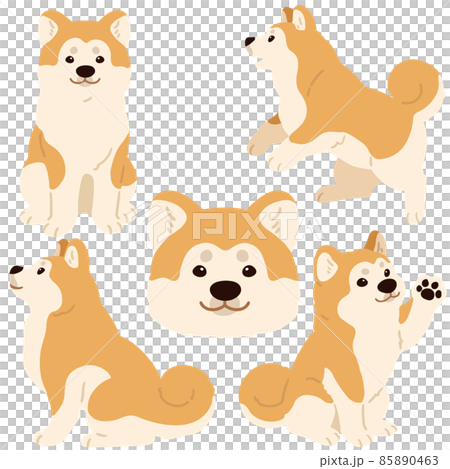 沒有主線的簡單可愛的秋田犬插圖集 85890463