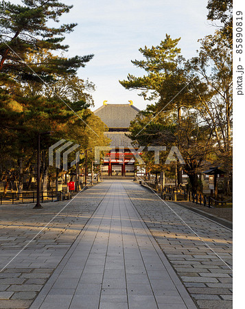 東大寺大仏殿へ続く石畳の参道 85890819
