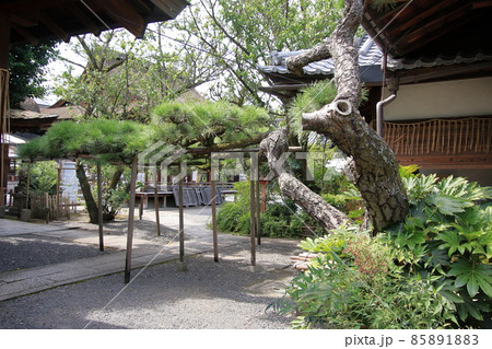 京都の神社下御霊神社 京都の神社下御霊神社 85891883
