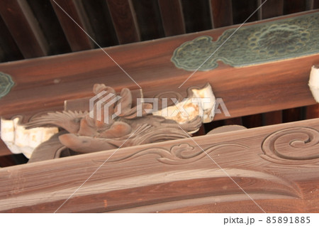 京都の神社下御霊神社 85891885