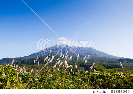 恐竜公園から見る秋晴れの桜島 恐竜公園から見る秋晴れの桜島 85892049